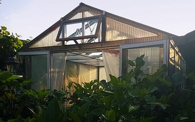 Mr. Miranda’s Fantastic Backyard